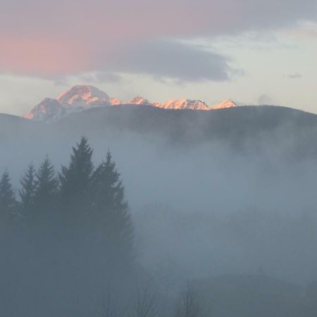 Splendide Vue Pyrenees, Rez De Jardin 2 Chambres Montjoie-en-Couserans 外观 照片