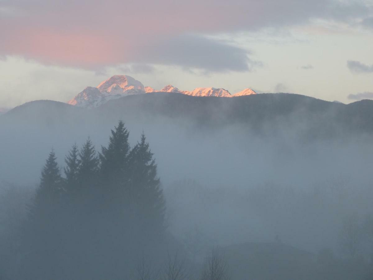 Splendide Vue Pyrenees, Rez De Jardin 2 Chambres Montjoie-en-Couserans 外观 照片