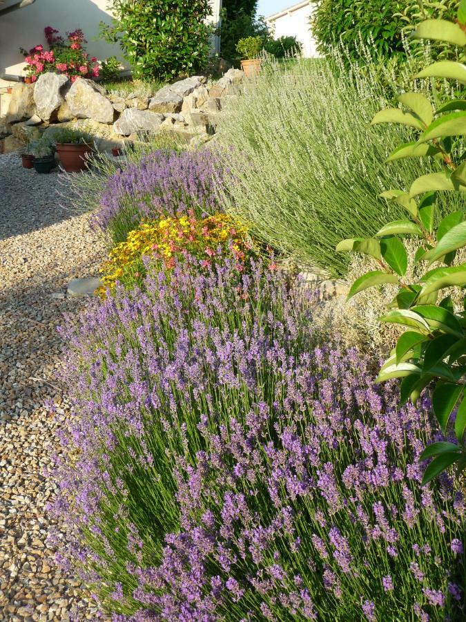 Splendide Vue Pyrenees, Rez De Jardin 2 Chambres Montjoie-en-Couserans 外观 照片
